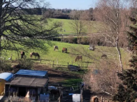 Lovingly furnished vacation apartment in Schleiden Morsbach/National Park Eifel โรงแรมในSchleiden