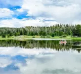 Dream for Hiking, Star Gazing, Fishing, Lakes & Hunting - 2 Night Minimum