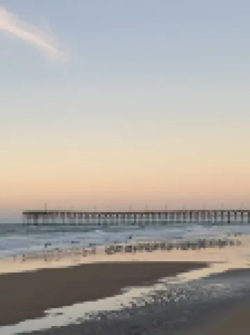 Not quite ocean front, but almost! Just a few steps to the sand! Pet friendly.