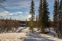 Dreamy 2 Bed Cabin #1 - Alaska Kenai Getaway