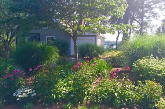⭐️FABULOUS-WATERFRONT⭐️3bdrm 2bth. Kayaks & Firepit⭐️