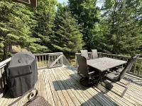 Nubs Nob Highlands chalet in Hidden Hamlet on 2 acres! Family Friendly Hotels in Pleasantview Township
