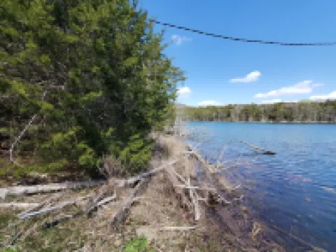 Owls Nest-Lakefront-Private Wooded Setting Sleeps 16