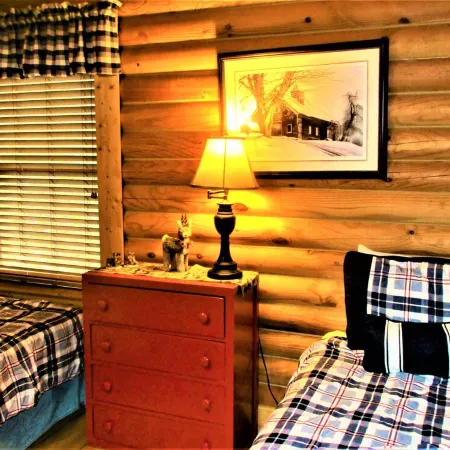 ALPINE LOG CABIN/COZY, COMFORTABLE, MODERN/BLUE RIDGE MOUNTAINS NEAR BOONE N.C.