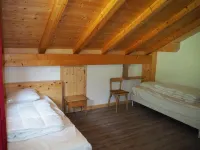 Apartment 14 people in a typical chalet - Chatel Reservation