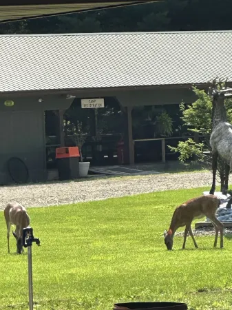 Deluxe Cabin A at Elk Creek Escape