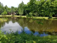 PET-FRIENDLY - Twilight Cabin a Unique Waterfront Log Cabin