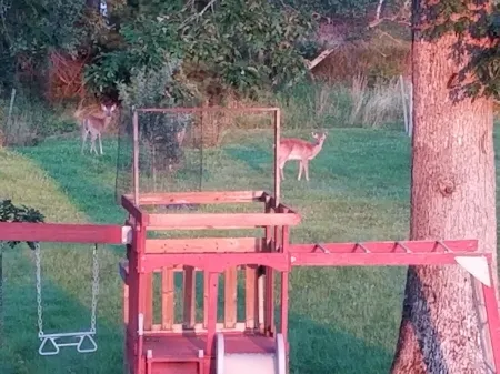 Lake Home on serene Highland Lake Отели в г. Хайленд