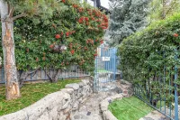 Grape House Downtown