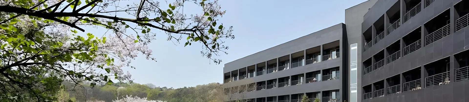 Four-Star Hotels