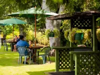 Travellers Inn Motel Các khách sạn gần Eagle Flight Training Limited