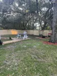 Trees Camper