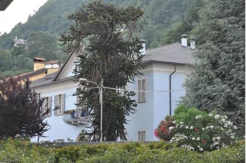Villa Annamaria B&B - 4-Star