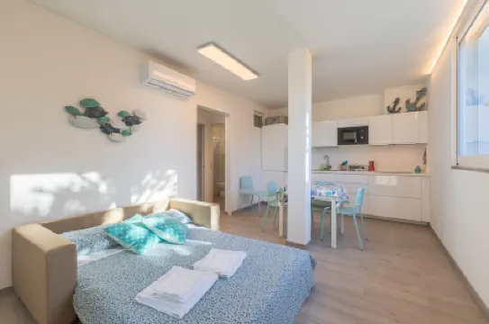 La Sterlizia di Santa Croce