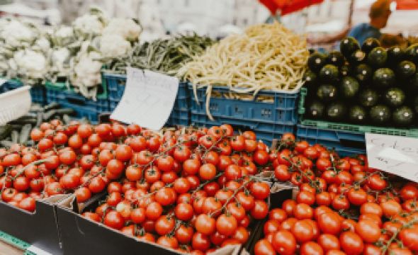 Wake up Wellness Hostel