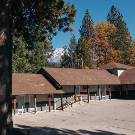 LOGE Mt. Shasta