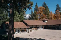 LOGE Mt. Shasta