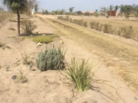 กระท่อมนาคา ซาบาล โรงแรมในGoromonzi