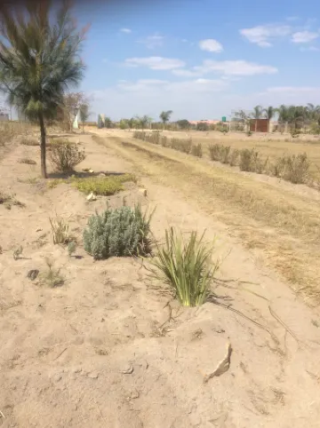 Nhaka Savaal Cottages