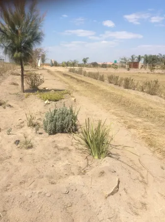 Nhaka Savaal Cottages Отели в г. Goromonzi