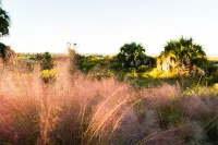 The Sandpiper by Pristine Properties Vacation Rentals