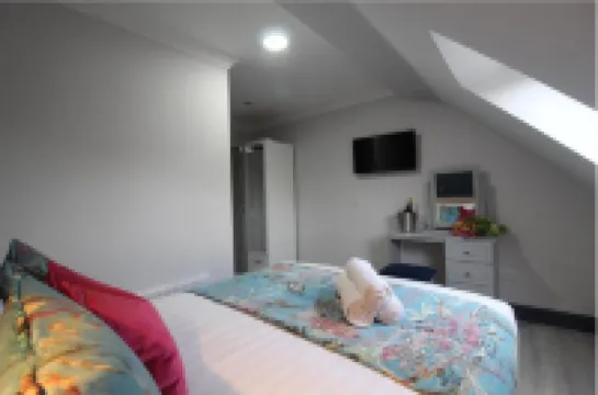 N20 Inn Hotel Hotels in 