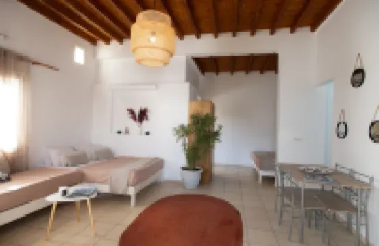 Dimelal Mikonos Downtown Apartments