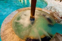 Rio Das Pedras Thermas Hotel - Spa