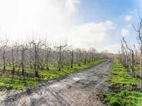 Heers Retreat with Sauna Hotels in Heers