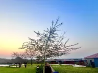 Cyc Guest Lodge Hotels in Mopani