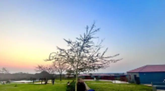 CyC 게스트 로지