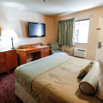 HOTEL AVINASH INTERNATIONAL - Housity