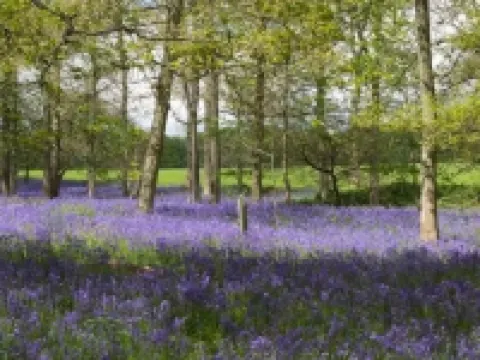 阿瓦隆別墅民宿 林德赫斯特酒店