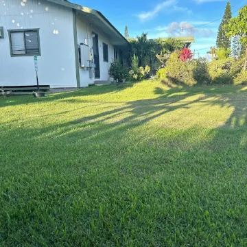 Puakenikeni Hilo Hale