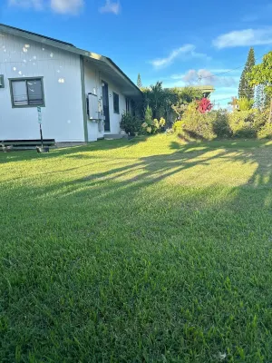 Puakenikeni Hilo Hale