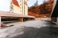 Cheongju Chojeongyaksu S