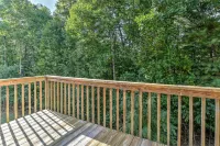 Bring Pets to this Fun South Asheville Hot Tub Townhome Hôtels à : Arden