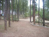 Modern Black Hills home nestled in the pines near beautiful Pactola Lake