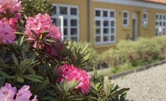 The Old Mill - by the Lake