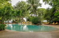 Capitán Suizo Beachfront Boutique Hotel - Ocean View