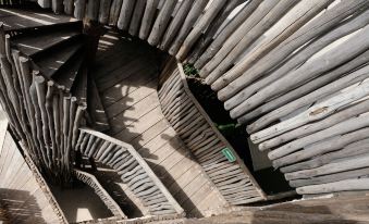 Loba Tulum Male Only