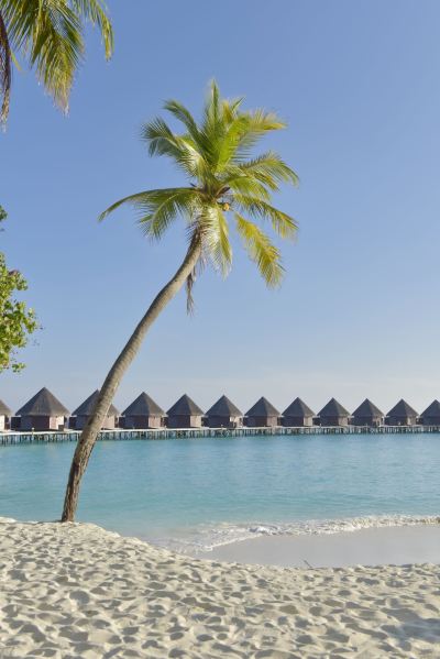 施設外観 トラギリ アイランド リゾート&スパ モルディブの写真