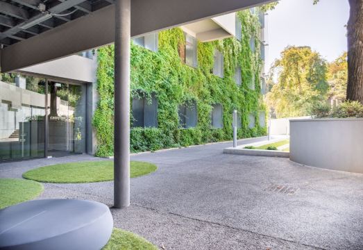 2. 캄플루스 산 피..