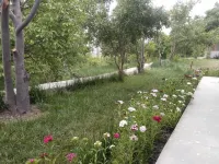 Hunza Regency Inn Hotels in Garelt