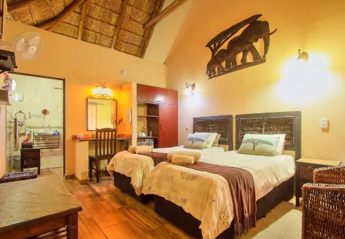 大猩猩遍佈非洲旅館