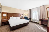 Comfort Inn Modesto Hotel a Salida