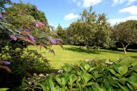 Marton Grange Country House Các khách sạn ở 