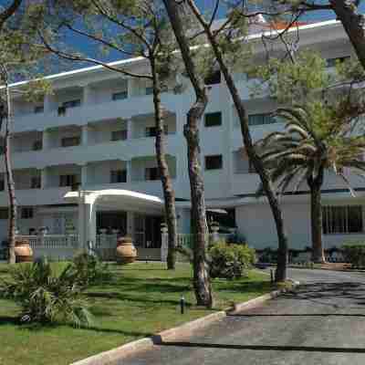 Domizia Palace Hotel Hotel Exterior