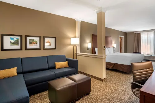 Comfort Inn & Suites - Pet friendly