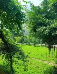 Tuyet's Homestay - สัตว์เลี้ยง